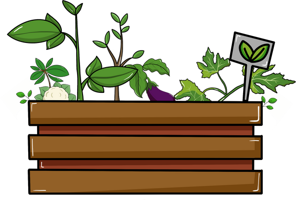 Vegetable Garden